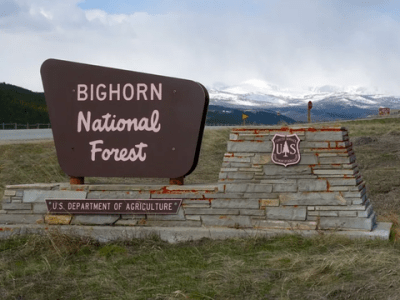 Bighorn National Forest
