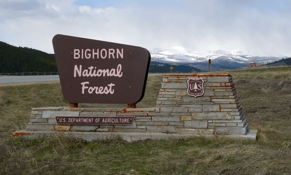 Bighorn National Forest