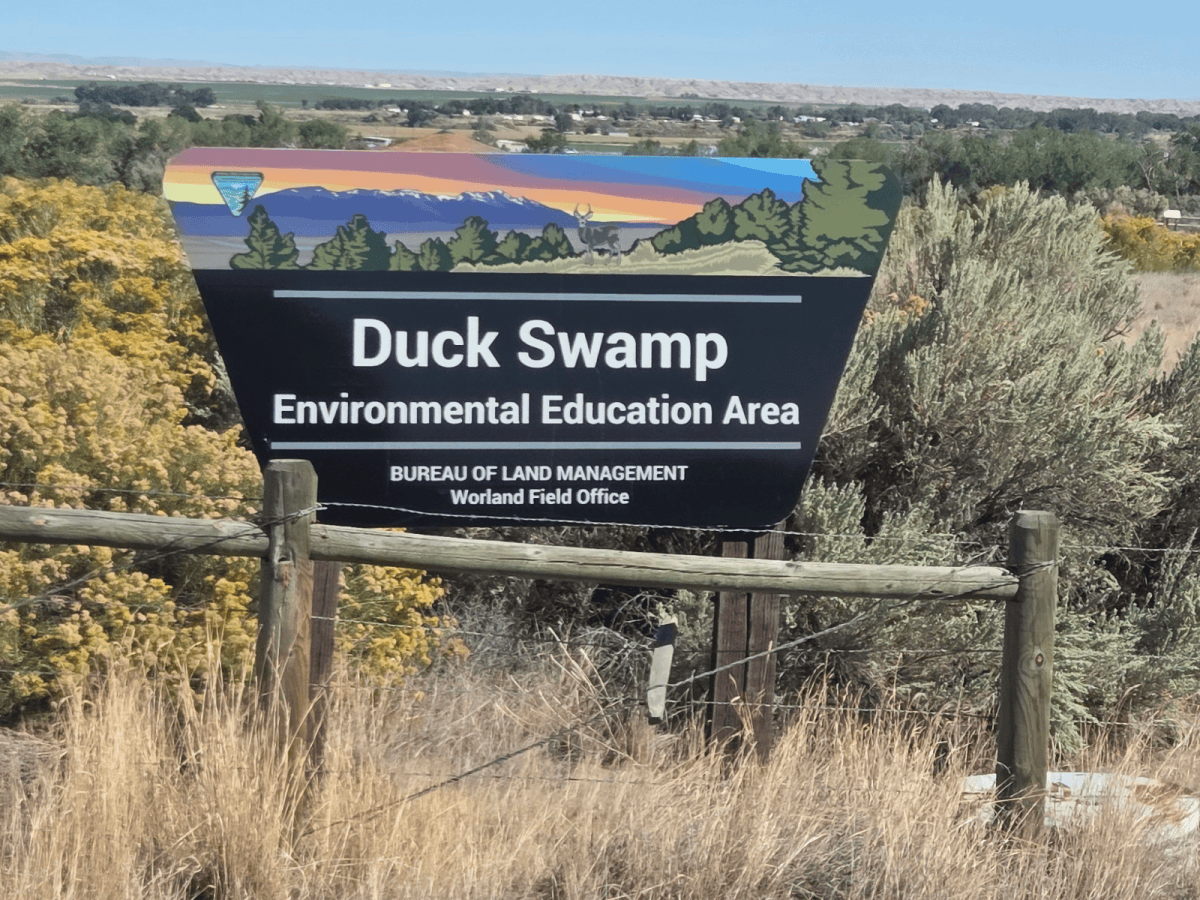 Duck Swamp Interpretive Area: An Easy Wetland Hike Near&nbsp;Worland