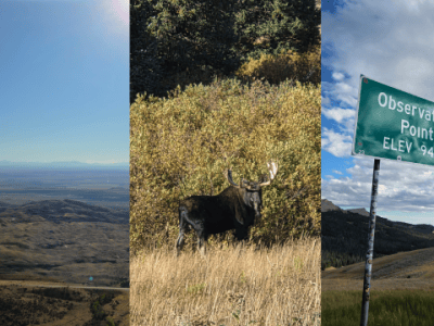 Highway 14A – Experience the Dramatic Climb, Wildlife, and Expansive Views of the Medicine Wheel&nbsp;Passage