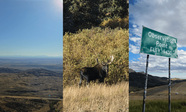 Highway 14A – Experience the Dramatic Climb, Wildlife, and Expansive Views of the Medicine Wheel&nbsp;Passage